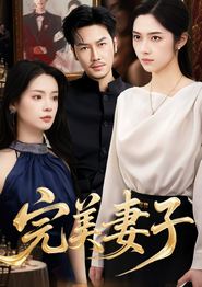 完美妻子