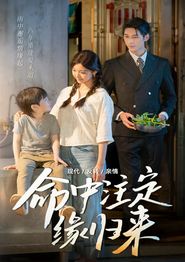 命中注定缘归来