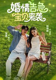婚情告急宝贝来袭