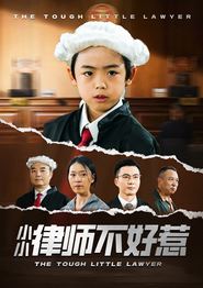 小小律师不好惹