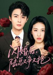 闪婚后陆总又争又抢