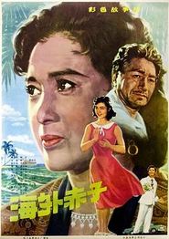 海外赤子