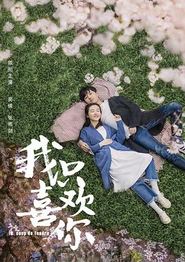 我只喜欢你