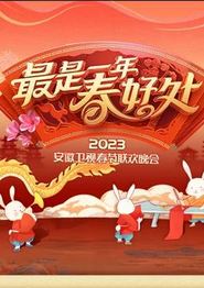 2023安徽春节联欢晚会