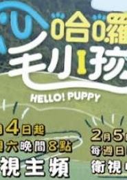 哈啰！毛小孩