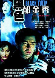 黑色郁金香