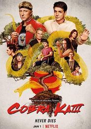 眼镜蛇第三季