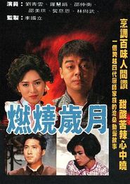 燃烧岁月粤语