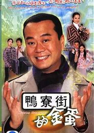 翻新大少国语