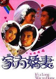 家有娇妻国语