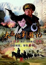 大西北剿匪记