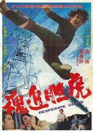 虎胆追魂