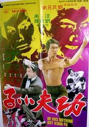 功夫小子