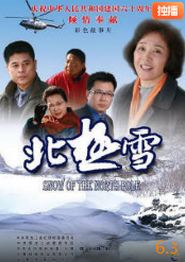 北极雪