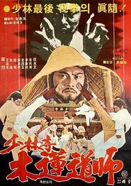 功夫传人之龙拳小子