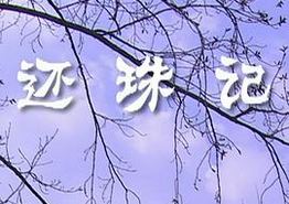 还珠记