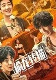 偷龙转猫