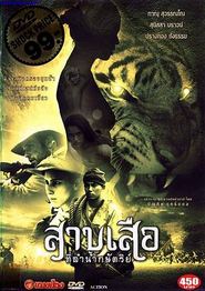灵虎爱