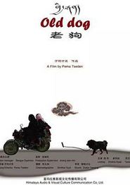 老狗