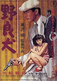野良犬