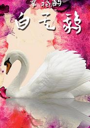 幸福的白天鹅