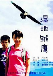 湿地雏鹰