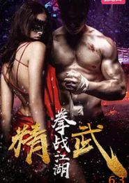 精武之拳战江湖