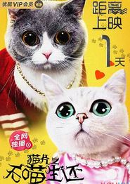 猫片之无喵生还