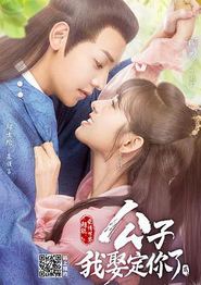 公子，我娶定你了2