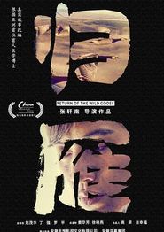 归雁