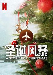 圣诞风暴第一季