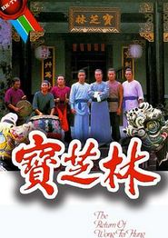 宝芝林国语