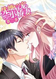 先婚后宠小娇妻动态漫画第三季