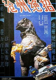 沧州绝招