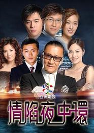 情陷夜中环国语