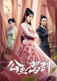 公主驾到(2019)