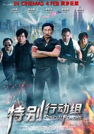 特别行动组(2016)