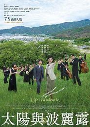 太阳与波莱罗