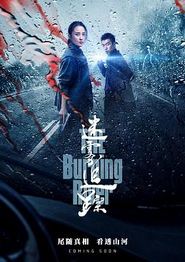迷雾追踪