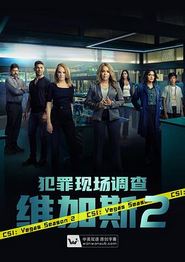 犯罪现场调查：维加斯第二季