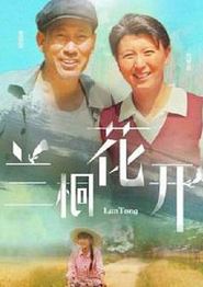 兰桐花开