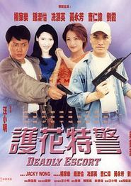 护花特警