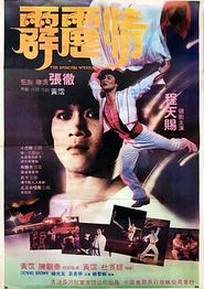 霹雳情