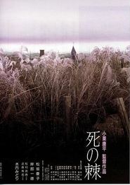 死之棘