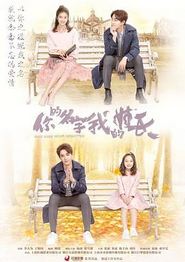 你的名字我的姓氏