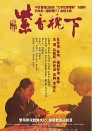 紫香槐下