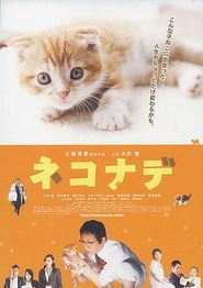 小猫奇缘
