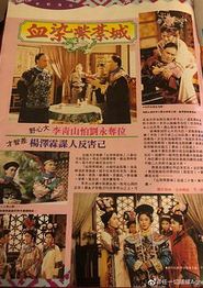 满清十三皇朝之血染紫禁城