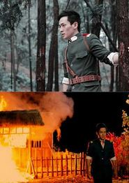 战地情天