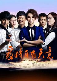 爱情自有天意第二部